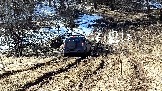 Трофи-лайф фото 4х4 покатушка Дмитровская Игрушка 08.03.2025 - (52).jpg