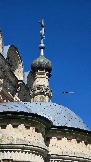 20250503_104445.jpg