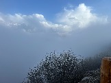 IMG_8489.JPEG