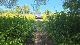20260801_123735.jpg