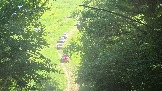 20260606_154057.jpg