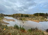 IMG_5659.JPG