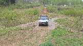 20260510_135202.jpg