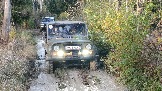 20231011_161318.jpg