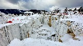 IMG_8698.jpg