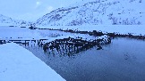 20251125_131151.jpg