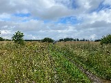 Трофи-лайф Фото корпоративное мероприятие на внедорожниках  (98).JPG
