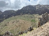 IMG_8609.JPEG