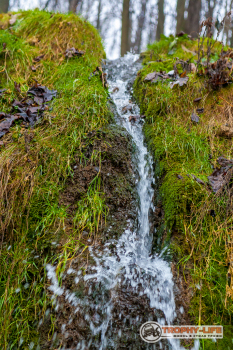 _MG_8366.jpg