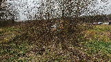 Трофи-лайф фото 4х4 День Рождения Трофи-лайф 17 лет Колонна 2 26.10.2024 -   (114).png