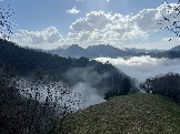 IMG_8534.JPEG