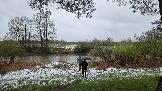 20250502_130448.jpg