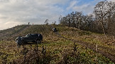 Трофи-лайф фото 4х4 покатушка День Рождения Трофи-лайф 1 коллона 25.10.2025 - (35).jpg