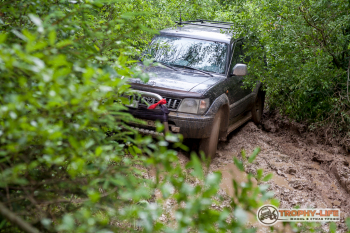 _MG_5494.jpg