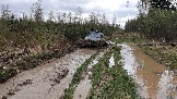 20250426_121251.jpg