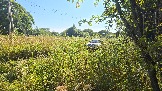 20260801_163235.jpg