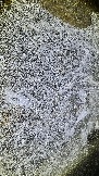 2AB236E6-04DE-4C29-A038-0AE68D120CE0.jpeg