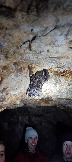 IMG_20231104_170618.jpg