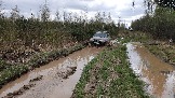 20250426_121142.jpg