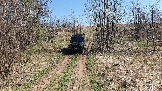 20250420_120946.jpg