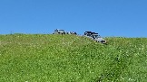 20260606_132353.jpg