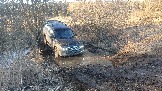 20250308_171215.jpg