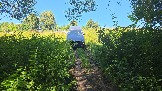 20260801_123835.jpg