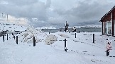 20251125_125455.jpg