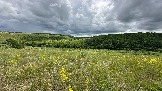 IMG_1170.jpg