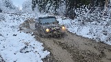 20251115_122422.jpg