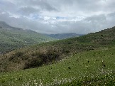 IMG_8472.JPEG