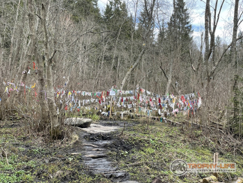 Фото Трофи-лайф 4х4 покатушкаэкспедиция Тверской Край 1-2.05.22 - 191.JPG