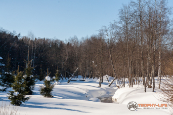 _MG_1587-29.jpg
