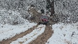 20251115_123649.jpg