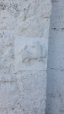 20240504_111209.jpg