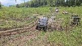 20260510_144505.jpg