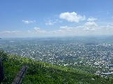 IMG_8805.JPEG