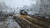 20251115_112236.jpg