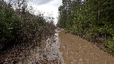 Трофи-лайф фото 4х4 покатушка Каширский зигзаг 06.04.2024 -  (86).png