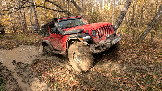 Трофи-лайф фото 4х4 покатушка Чеховские Медведи 10.10.2026 - 356.jpg