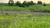 IMG_0847.jpg
