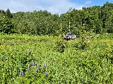 IMG_8794.JPG