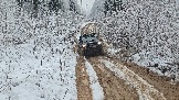 20251115_123138.jpg