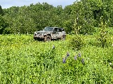 IMG_8761.JPG
