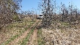 20250420_121013.jpg