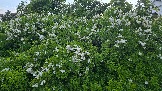 20260530_195406.jpg
