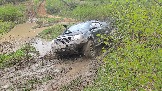 20260510_141113.jpg