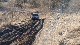 20250308_161317.jpg