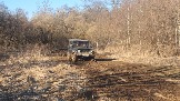 20250316_163134.jpg