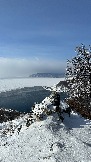 IMG_8428.jpg